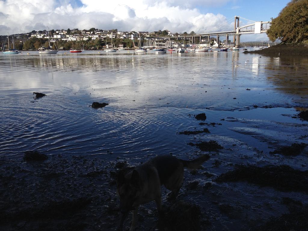 The Ferry House Inn Plymouth Bilik gambar